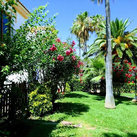 데니아 Planta Baja Con Porche Y Piscina, Cerca Del Mar 아파트 외부 사진